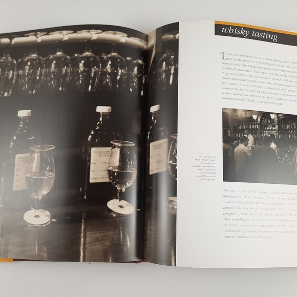 MALT WHISKEY Charles MacLean Buyer Collector Guide Tasting Coffee Table Book - Picture 8 of 16